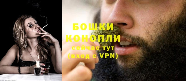 прущие крисы Мегион