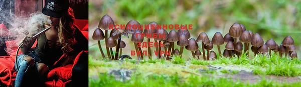 экстази Медвежьегорск