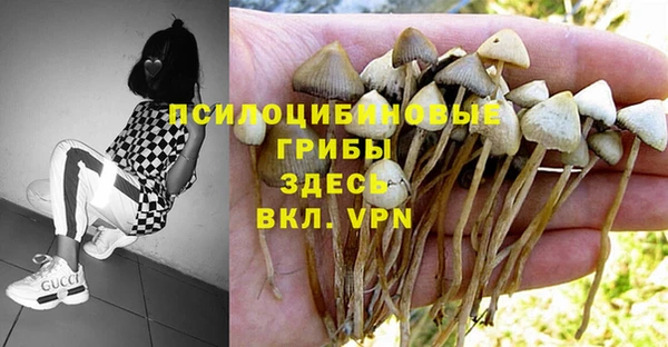 экстази Медвежьегорск