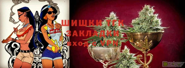 гидра Алапаевск