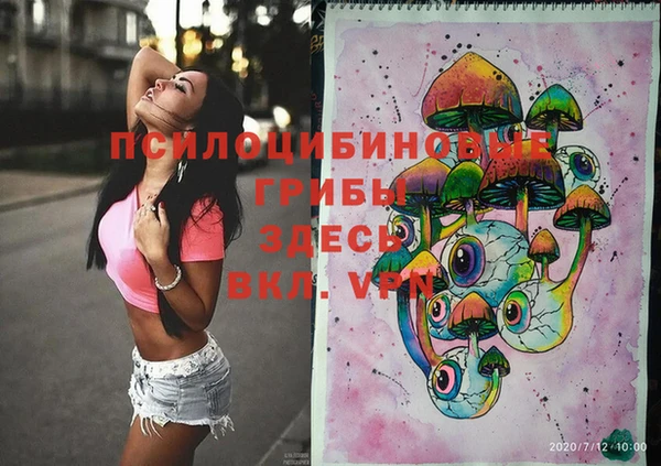 прущие крисы Мегион