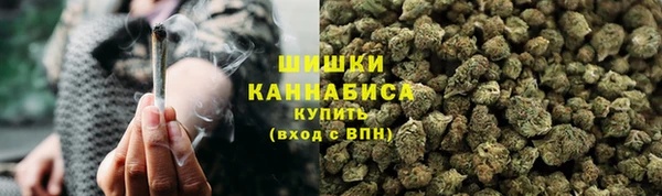 прущие крисы Мегион