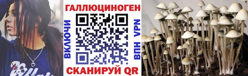 kraken сайт где купить наркоту Псков Псилоцибиновые грибы Cubensis