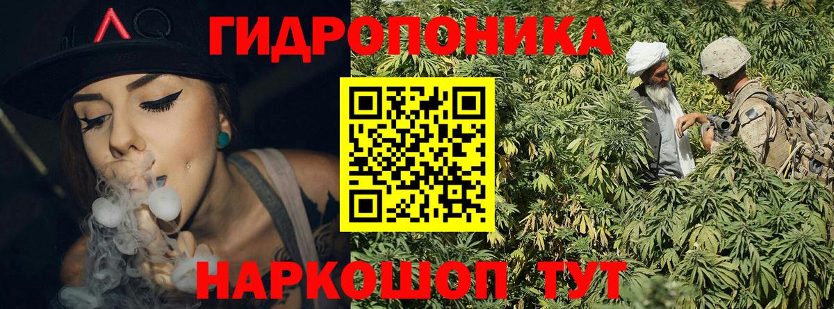 Псков  Шишки марихуана Bruce Banner  Вход с VPN  Бошки Шишки тримм 